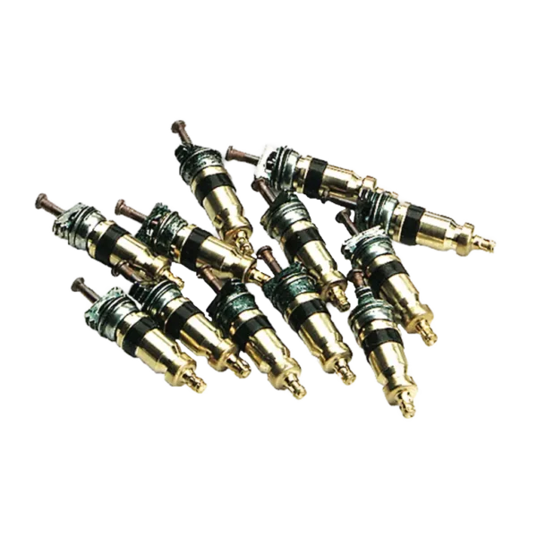 AVS1 Valve Core Pack (10pcs)
